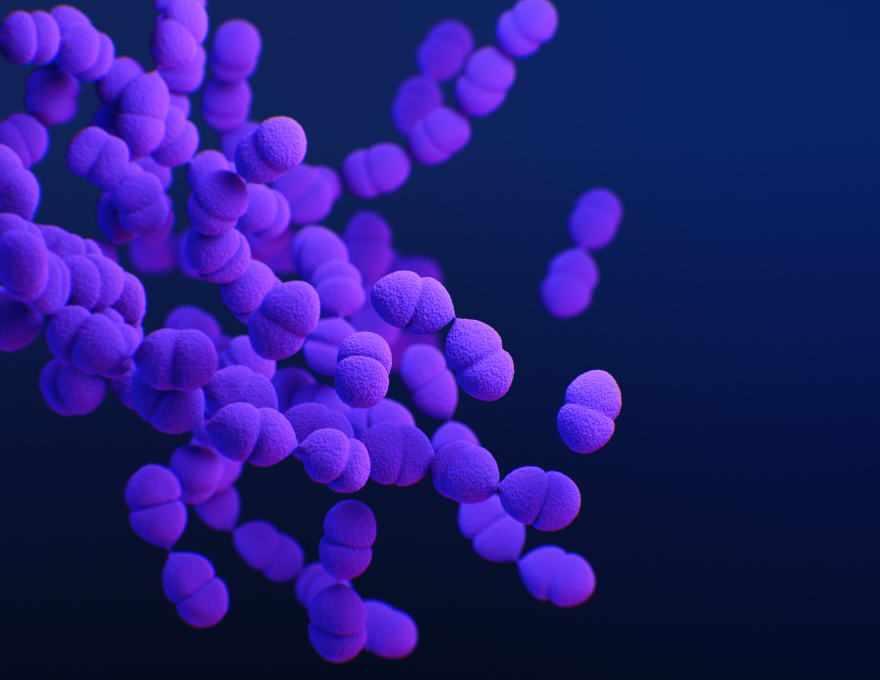 This is a medical illustration of drug-resistant, Streptococcus pneumoniae bacteria, presented in the Centers for Disease Control and Prevention (CDC) publication entitled, Antibiotic Resistance Threats in the United States, 2019 (AR Threats Report). 