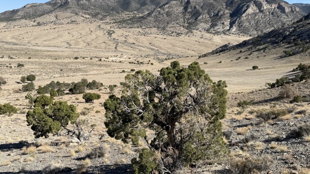 High desert landscape of Pine Valley, Utah, with sagebrush, open terrain and mountain ridges in the distance.