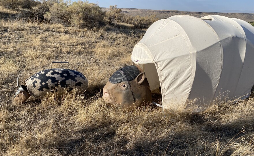 Puppets at the Bruneau Sand Dunes stand in for future digital Ice Age creatures, like this Giant Armadillo for the series "Prehistoric Planet."