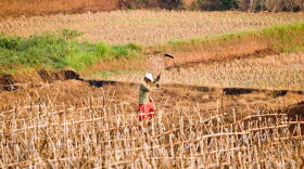 Some of Huber’s current research is exploring how heat stress could impact agricultural production in places where being outside could be lethal.