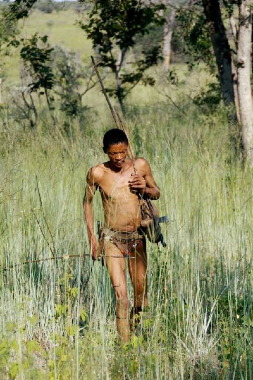 The Bushmen know which plants and herbs are good to eat — and which will heal their ailments.