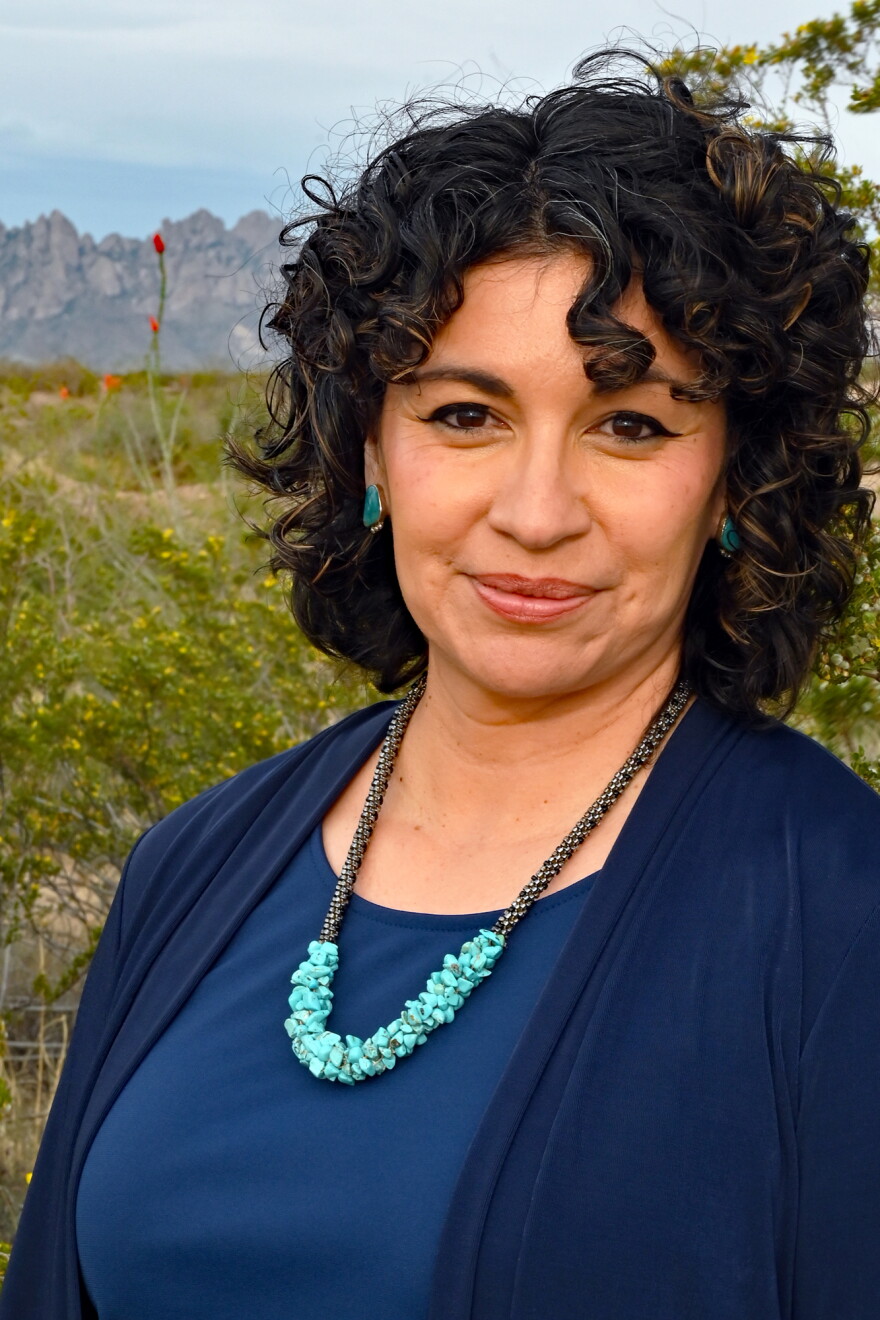 Sarah Silva is a Democrat running for the New Mexico State Representative seat in district 53