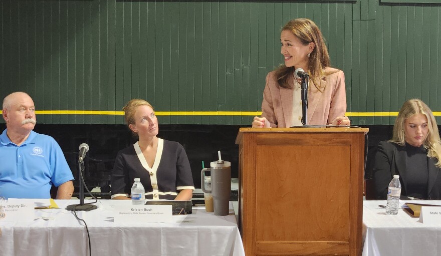 State Rep. Bridget Kosierowski speaks about the need for progress and accessibility during the town hall on Thursday.