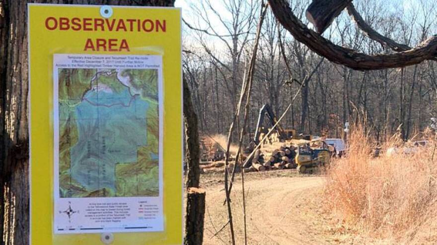 Crews began logging in Yellowwood State Forest on Tuesday.