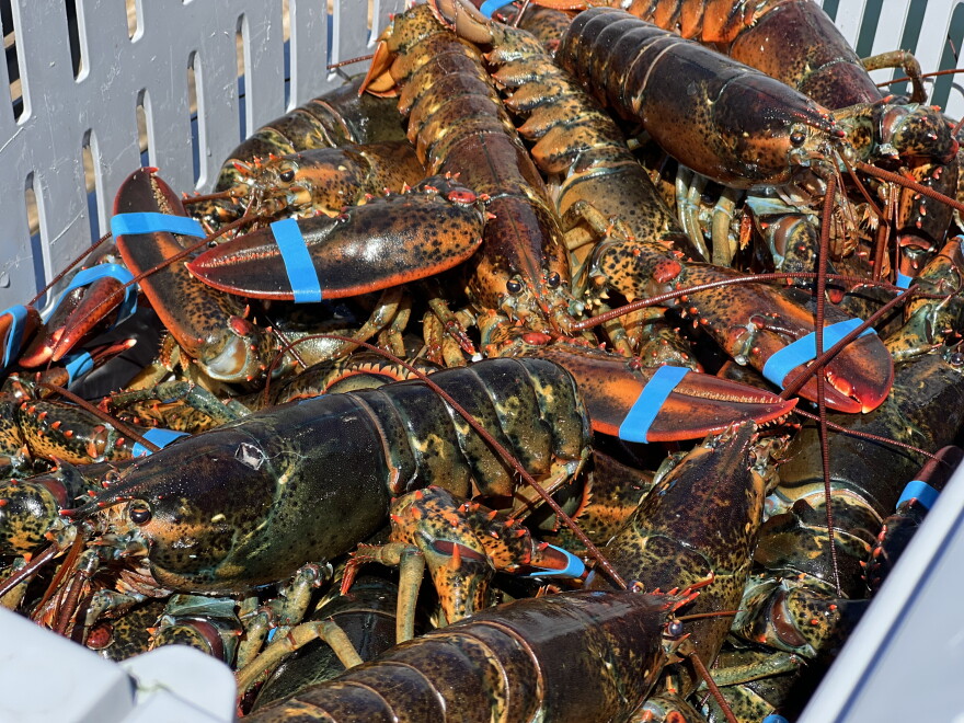 Crates of lobster on a dock outside Bold Coast Seafood in Prospect Harbor, ME.
