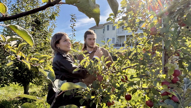 Savannah Makarewicz and Antonio Hebert, of Goffstown, look for Cortland applies at Carter Hill Orchard in Concord.