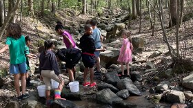 Children armed with dip nets scour Porter Branch Creek in the McDowell Nature Preserve.