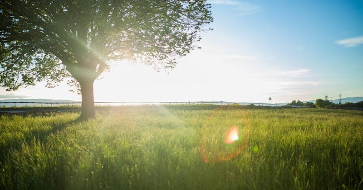 California Proposition 7 Permanent Daylight Saving Time Measure KALW