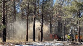 Crews work on mulching burned trees in the Hermits Peak-Calf Canyon Fire burn scar on Feb. 1, 2023. U.S. Sen. Ben Ray Luján (D-N.M.) this week introduced three wildfire-related bills, including one that seeks to ensure local contractors receive wildfire mitigation work. (Patrick Lohmann/Source NM)