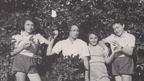 A black and white photograph of four young women posing together in an orchard in front of a leafy citrus tree laden with fruit. They are standing outdoors on small wooden boxes amid tall grass, wearing mid-20th-century casual shirts, shorts, and trousers while holding pieces of fruit.