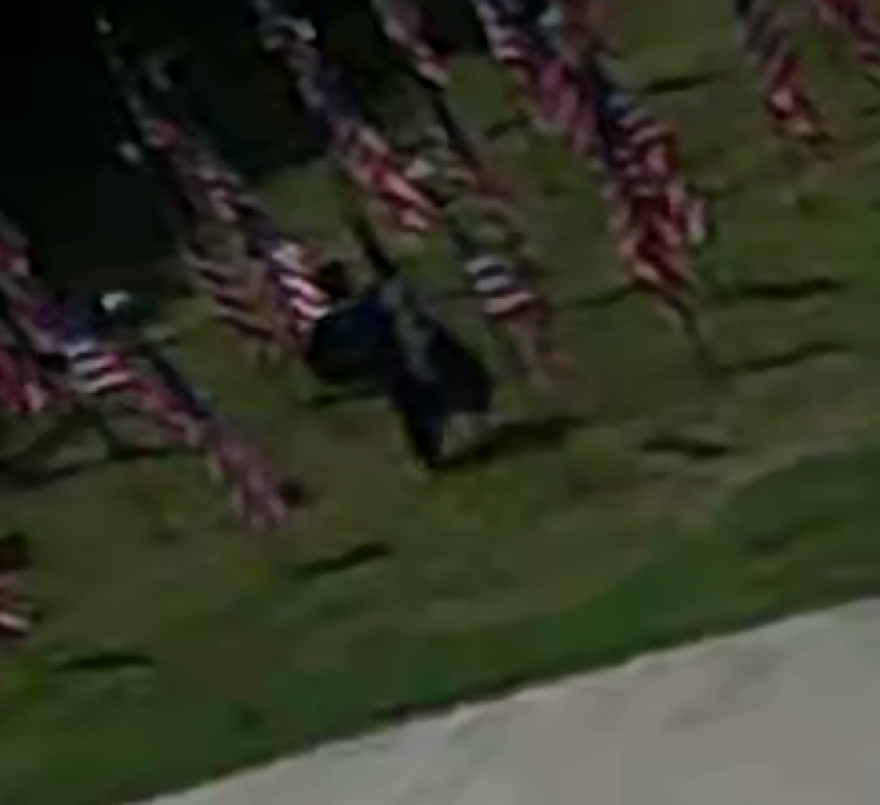 This surveillance photo screenshot released by Luzerne County officials shows a person believed to be involved in the theft of flags from a patriotic display on the south lawn of the county courthouse earier this month.