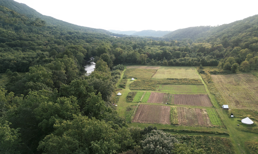 The land of The Farm at Catawissa Creek, where many herbs and crops are grown to be used in the farm’s skincare line.