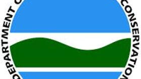 DEC Logo