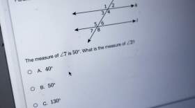A sample MCAS question on the state's education website. (Jesse Costa/WBUR)