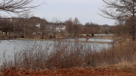 D'Angelo's Pond in Miller Showers Park