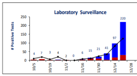 Laboratory-confirmed flu cases are surging in Monroe County.