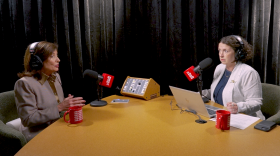 Gov. Kathy Hochul, left, is interviewed by WNYC senior politics reporter Brigid Bergin.