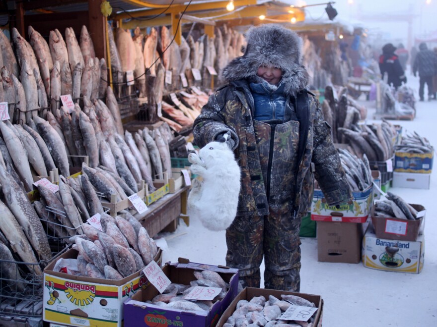 A woman sells an arctic hare along with her usual fare of frozen fish in the central market of Yakutsk.
