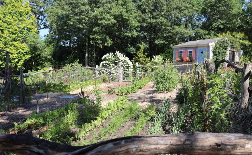 Photos of the home garden of CAI's The Garden Lady, C.L. Fornari 