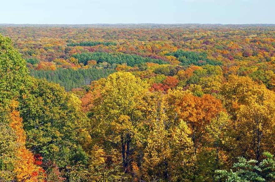 Brown County leaves attract thousands of visitors each year. This year's tourist season was especially good, say local business owners.