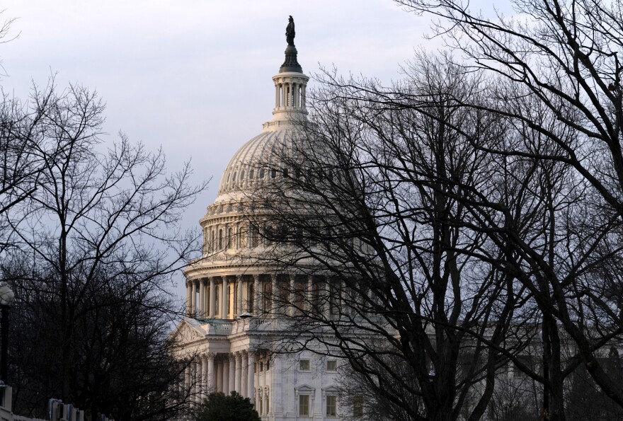Slight three-quarter side view of the US capitol rotunda with greyish lightening sky and bare trees in the foreground