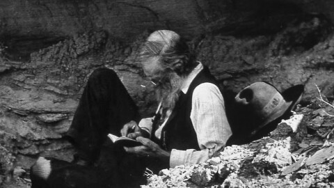 Naturalist John Muir in the Petrified Forest in eastern Arizona in 1905.