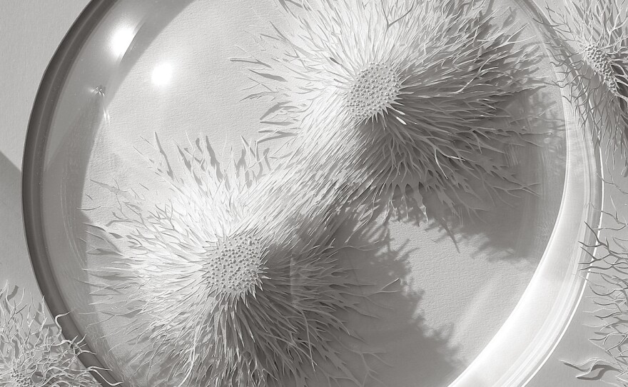 <em>Outbreak</em> took four months to cut and build<em>.</em> Brown writes on his website that the slow process of cutting mimics the "long time-based processes that dominate nature: growth and decay."