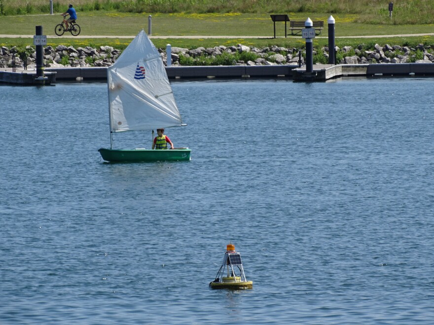 Todd Miller's buoy is collecting water temperature data in the Discovery World lagoon as the 2026 USA Triathlon approaches.