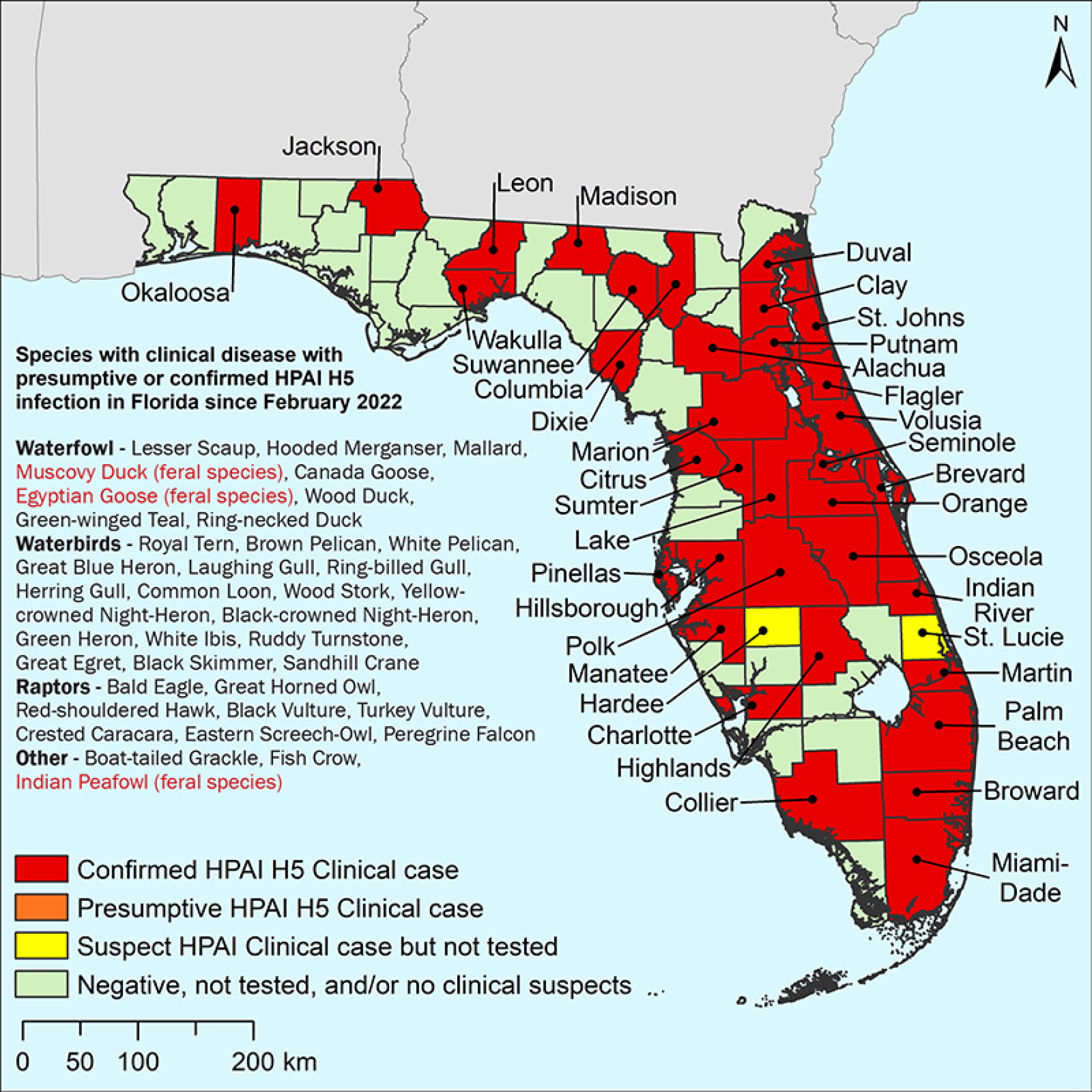 101 vultures found dead at Volusia County state park, likely from bird ...