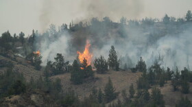 A stand of juniper trees torches at the head of the Rowe Creek Complex Fire near Mitchell, Ore., on July 21, 2026.