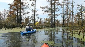 Kayaking the Cache River State Natural Area in southern Illinois. Recreation, such as boating and fishing, is a way to enjoy and explore the state’s rivers.