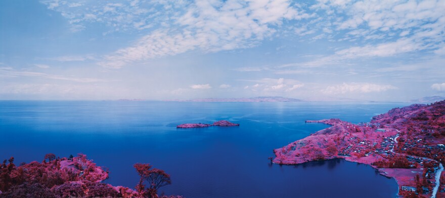 Richard Mosse (Irish, born 1980), Enjoy the Silence, from the series Infra, 2015, digital c-print.