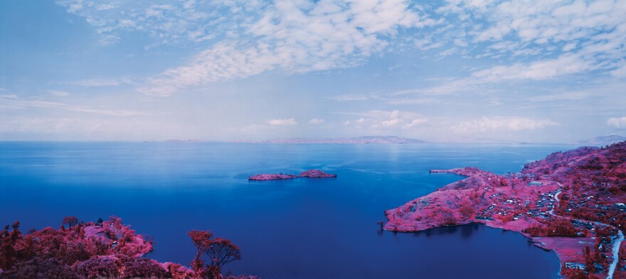 Richard Mosse (Irish, born 1980), Enjoy the Silence, from the series Infra, 2015, digital c-print. 