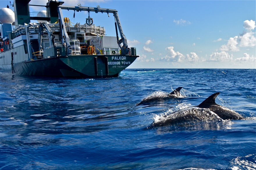 The research vessel Falkor in August 2013.