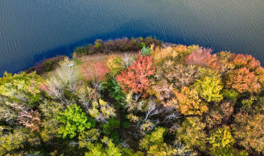 Leaves range from green to yellow to red and dark orange in Wyoming, Luzerne County, during the last week of September 2025.