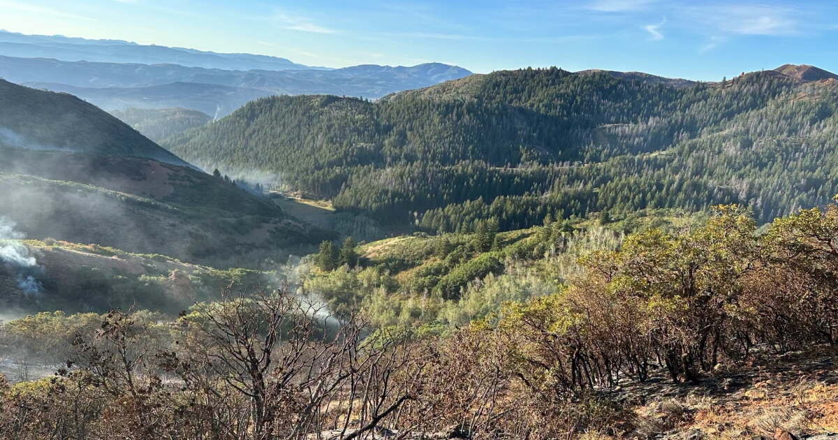 Rocky Canyon Fire nears 16K, 77% contained