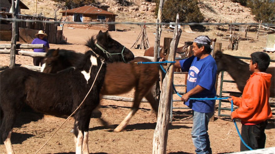 navajo father son horses
