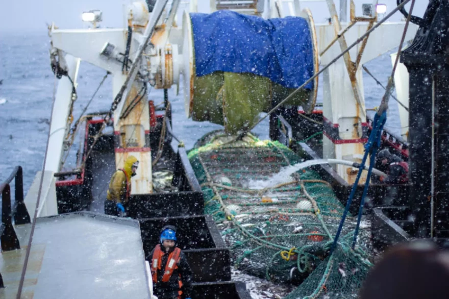 Crew members on the fishing vessel Commodore empty a trawl net of pollock on the Bering Sea in January, 2019.