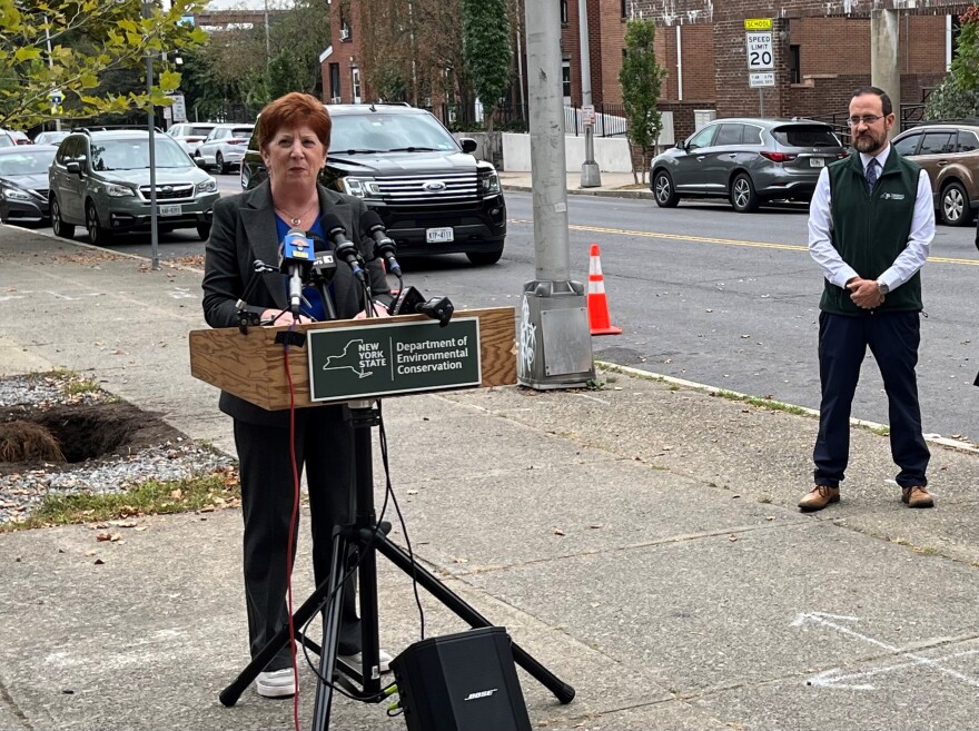 New York State Department of Environmental Conservation Interim Commissioner Sean Mahar looks on as Mayor Kathy Sheehan addresses reporters at a tree planting event outside Giffen Elementary School in Albany's South End, September 20, 2024.