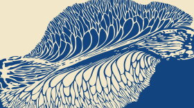 Abstract blue and beige artwork resembling intricate leaf veins. Text reads: "sun & shadow" with "haiku by fred andrle" and mentions prints by artists of Phoenix Rising Printmaking Cooperative.