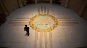 The state seal in the rotunda of the New Mexico State Capitol in Santa Fe, N.M. Two Democratic candidates are vying for the state's second highest executive position, including the termed-out Secretary of State Maggie Toulouse Oliver and Sen. Harold Pope Jr. (Photo by Liam DeBonis for Source NM)