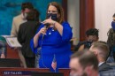  Bill sponsor Susan Valdes, a Tampa Democrat and former Hillsborough County School Board member, said the measure places an emphasis on students’ mental health.