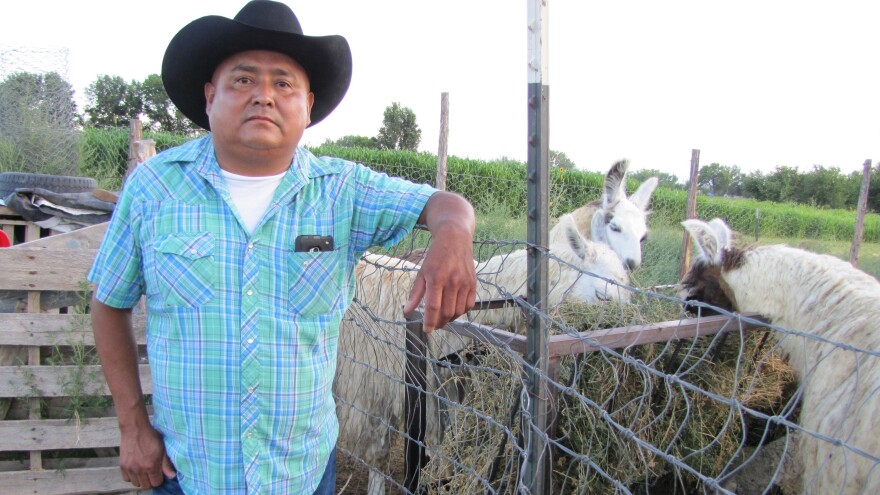 After the Animas River spill, rancher Irving Shaggy is forced to travel a 70-mile round trip to get water for his livestock. "It's going to be a long struggle," he says.