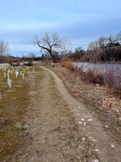 A stretch of the Boise River, not far from Barber Park.