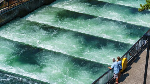 Two people stand next to the salmon viewing platform at Bonneville Lock and Dam. It is bright and sunny.
