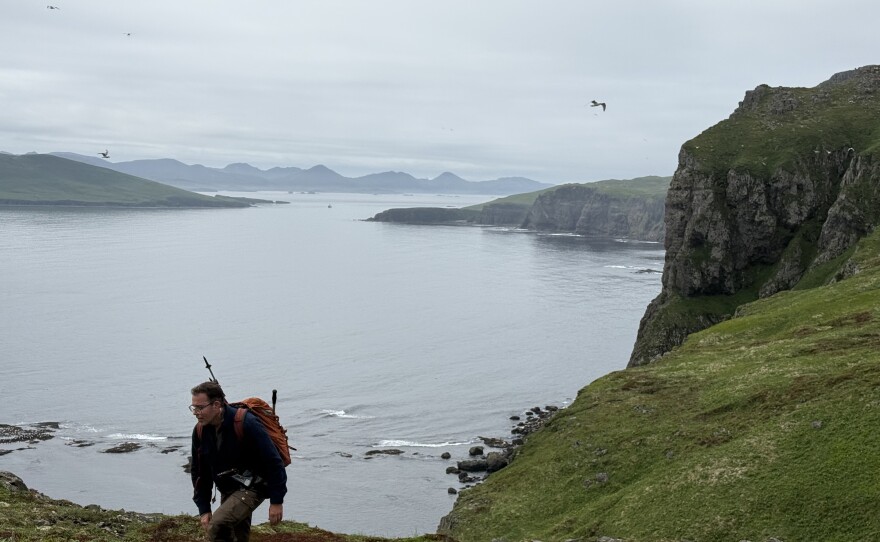 Research scientist Justin Fulkerson hiking around Ugamak Island while surveying bumblebees.