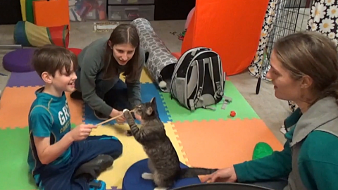 Child training cat to sit while two women look on. 