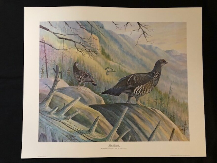 From Ron's Montana Art Series, a guaranteed limited edition, signed and numbered piece by master duckstamp and wildlife artist. Printed on archival paper & ready to frame. Measures about 20” x 24”. Must be able to pick it up at MTPR in Missoula. For yo