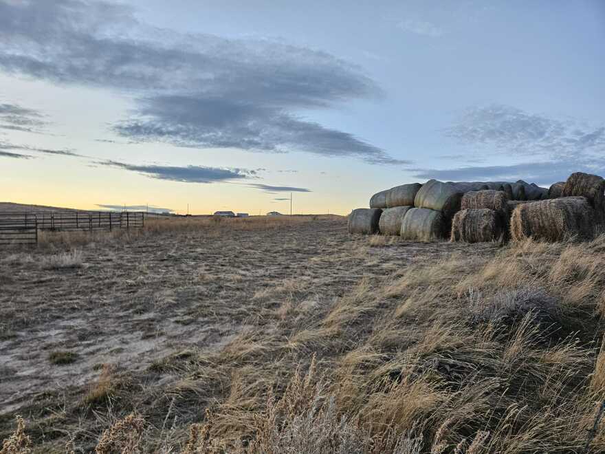 Round hay bales stacked near an empty corral.