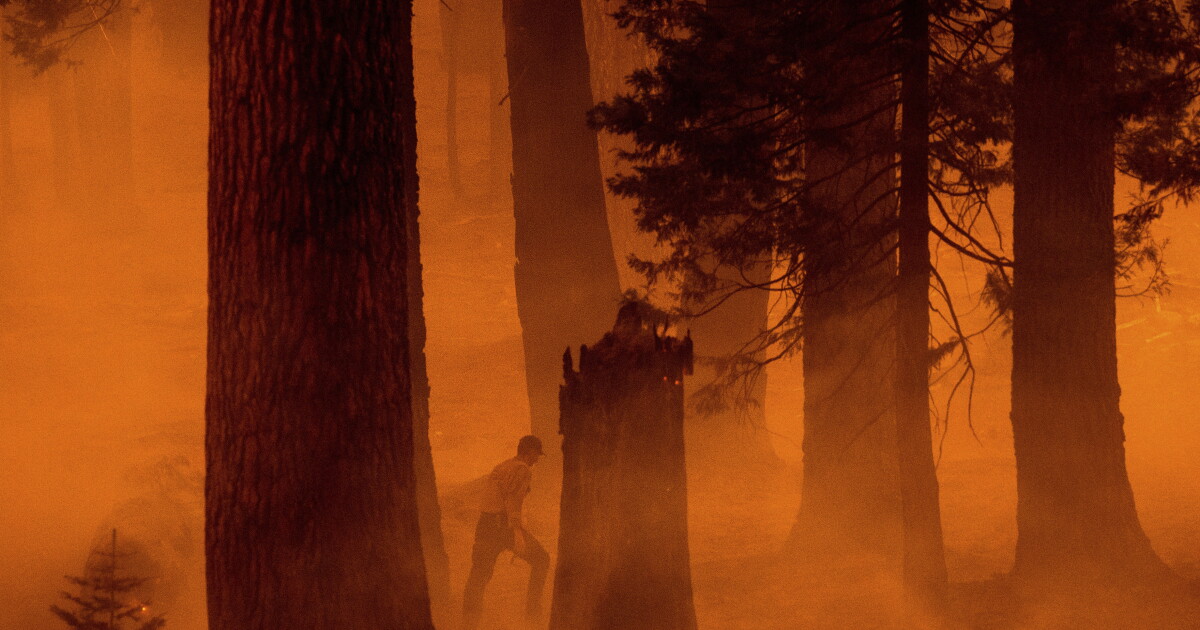 Butte County will receive federal funds for the 2024 Park Fire. It falls short of the need